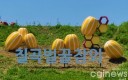 [포토뉴스] 칠곡벌꿀참외 상징조형물 준공